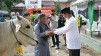 IMG_20200731_103259