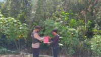 IMG-20210827-WA0074