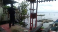 IMG-20210903-WA0048