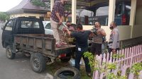IMG-20211021-WA0024