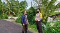 IMG-20211105-WA0041
