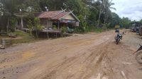 IMG-20211116-WA0057