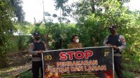 IMG-20220915-WA0015