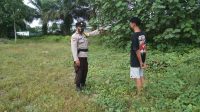 IMG-20221113-WA0014