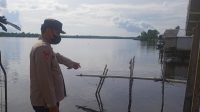 IMG-20221120-WA0021