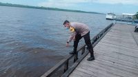 IMG-20221202-WA0015