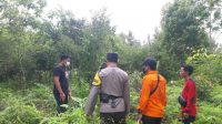 IMG-20221204-WA0029