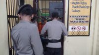 IMG-20221210-WA0053