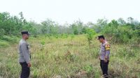 IMG-20230123-WA0012