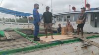 IMG-20230204-WA0054
