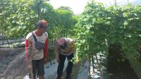 IMG-20230502-WA0046