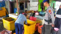 IMG-20230505-WA0069