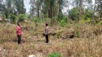 IMG-20230603-WA0068