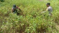 IMG-20230609-WA0042
