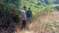 IMG-20230614-WA0031