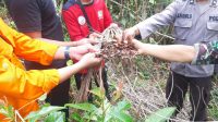 IMG-20230726-WA0043