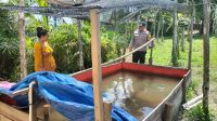 IMG-20230804-WA0087